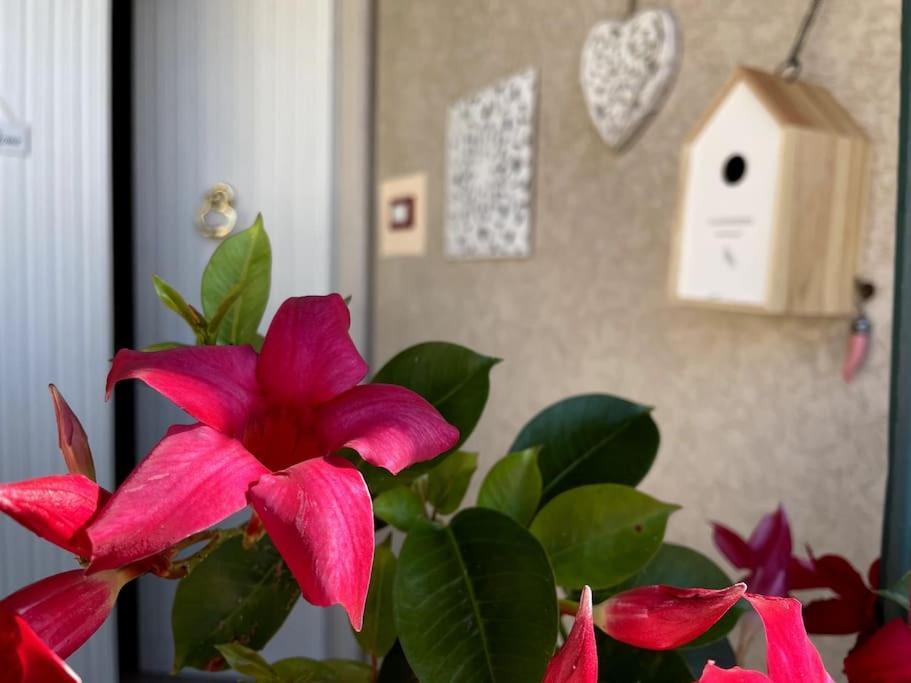 Annali Casa Vacanze - Shabby Style Nella Natura La Spezia Dış mekan fotoğraf