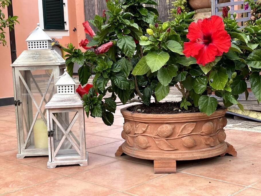Annali Casa Vacanze - Shabby Style Nella Natura La Spezia Dış mekan fotoğraf
