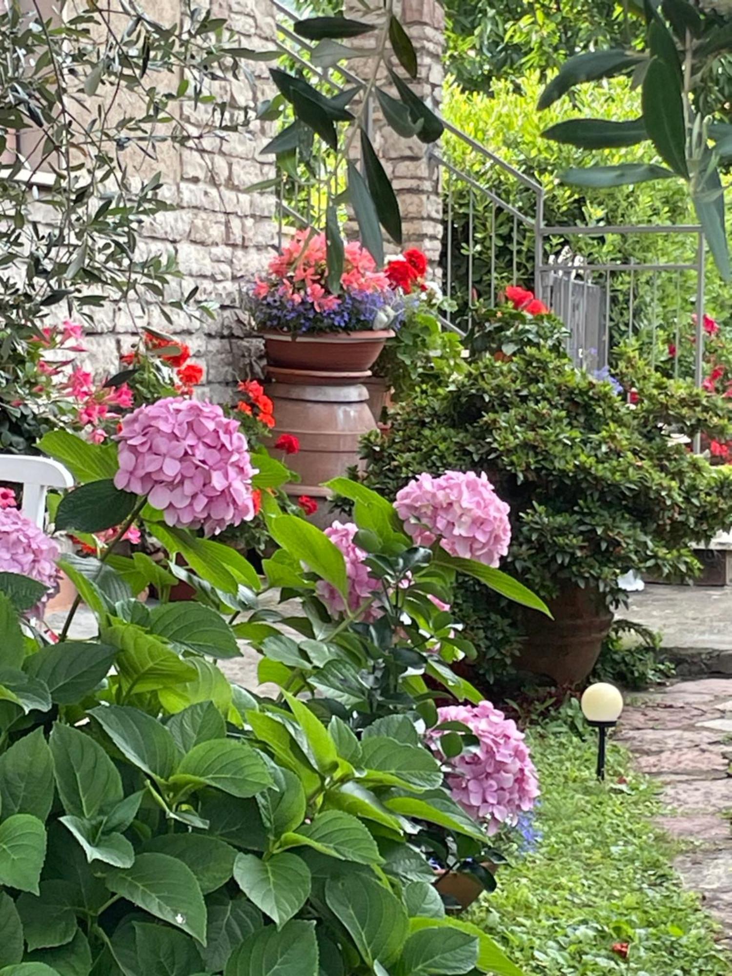 Annali Casa Vacanze - Shabby Style Nella Natura La Spezia Dış mekan fotoğraf